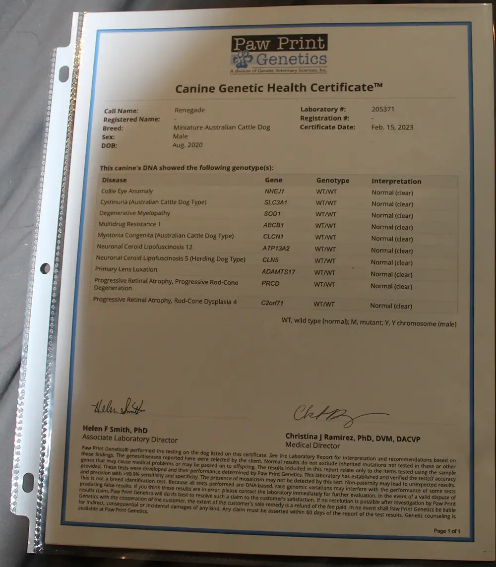 Renegade's Health Certificate