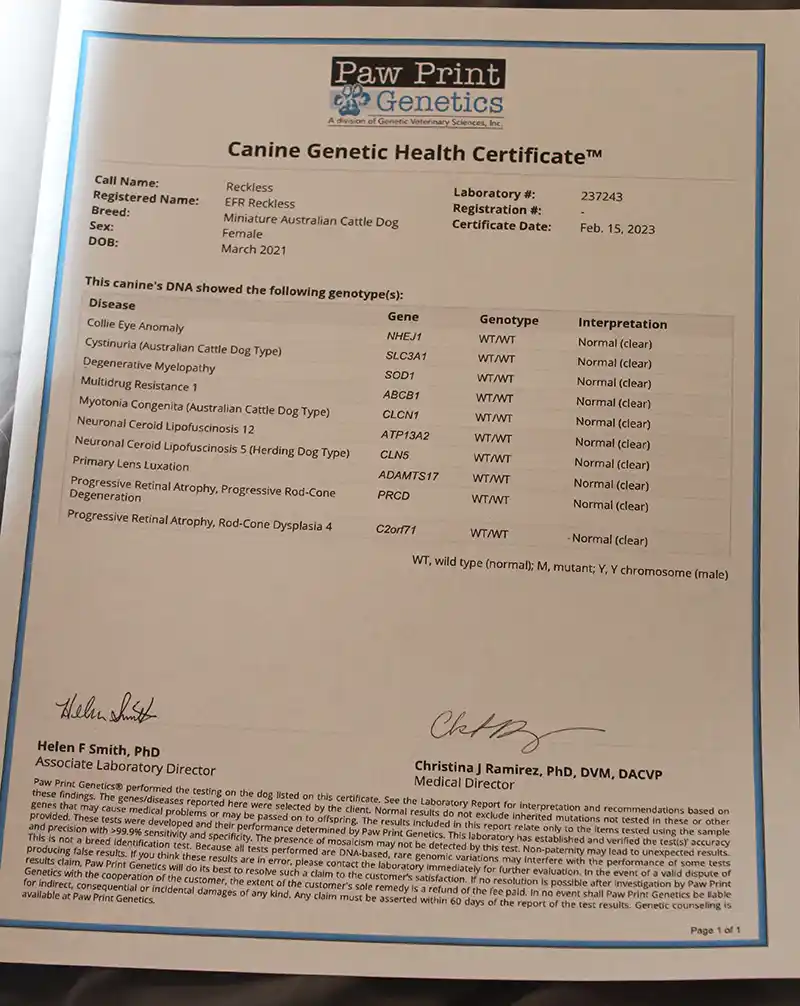 EFR Reckless Health Certificate