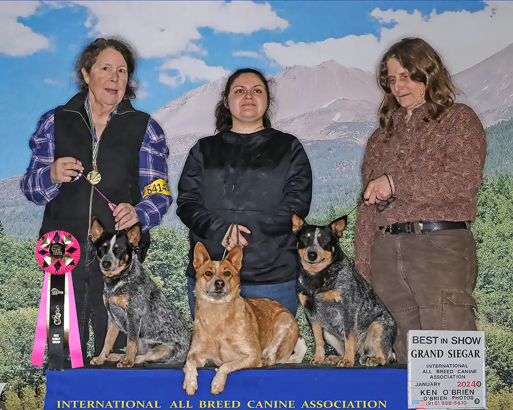 Family Photo with EFR EZ Ryder, and her two daughters, EFR Scarlett Begonias and EFR Silver Spur